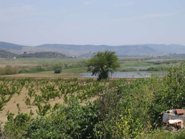 Lake Belevi and peach orchard