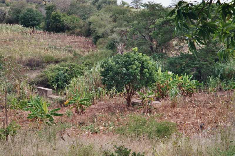 sand dam and shallow well