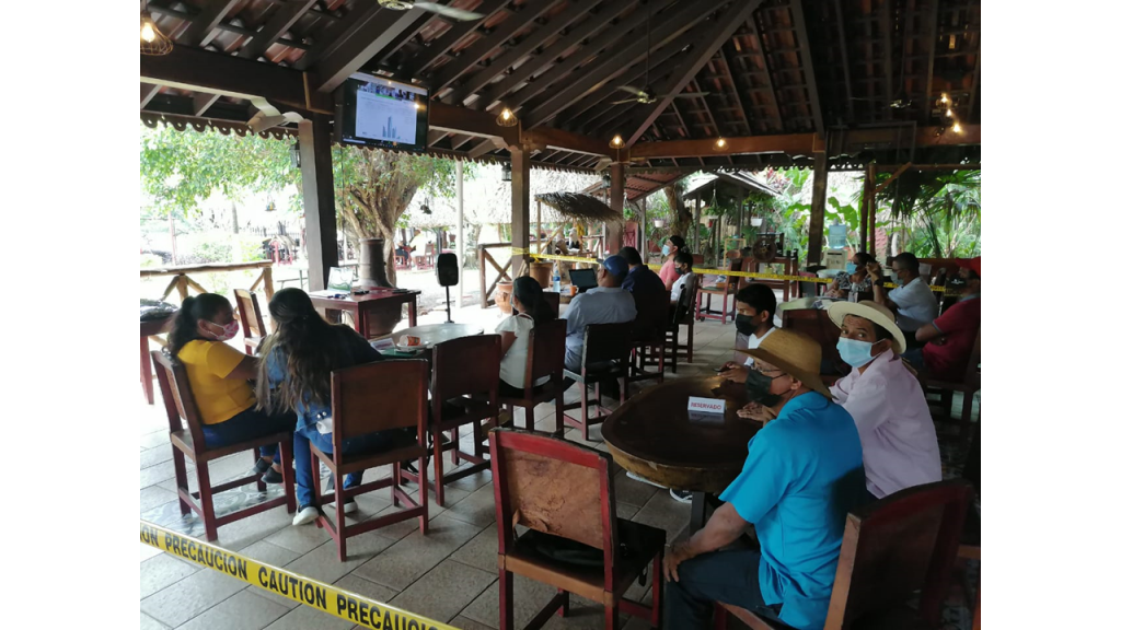 Participantes en el Taller “Presentación de Resultados de la modelización WEAP” que atendieron vía telemática por motivo de las restricciones derivadas de la pandemia COVID-19. 