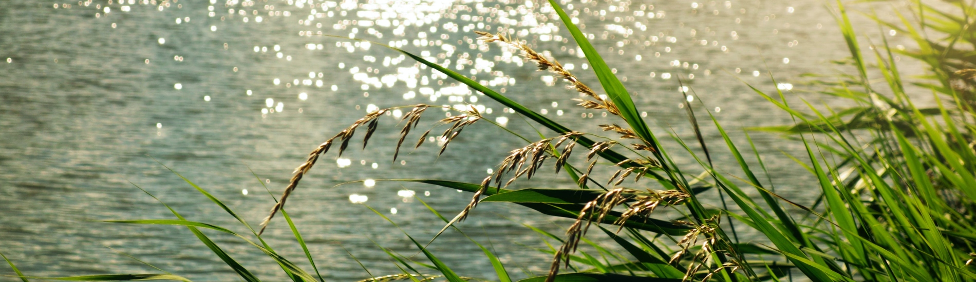 Climate Resilient Assessment and Investment Analysis in the Limpopo Basin