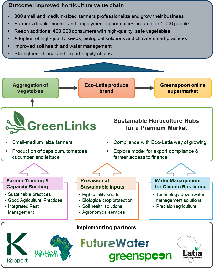 Diagram of the GreenLinks approach: farmer training, sustainable inputs and water management feed into vegetable aggregation, the Eco-Latia produce brand and the Greenspoon online supermarket. Implementing partners: Koppert, Holland Greentech, FutureWater, Greenspoon and Latia.